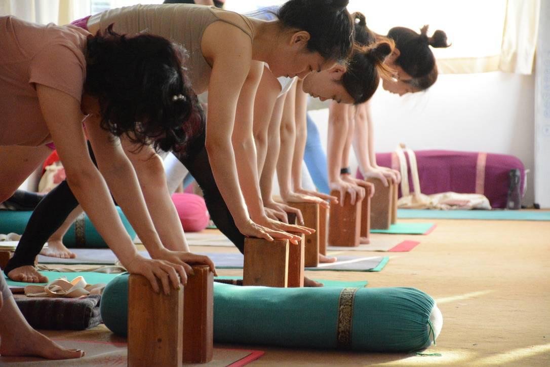 200 Hour Hatha Yoga Teacher Training in Rishikesh